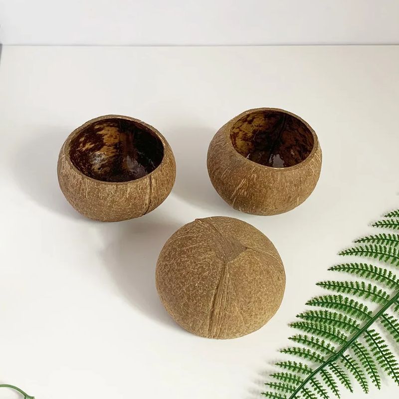 Coconut Candle Bowl Party Deco - Candle Making Homewood 评论和价格